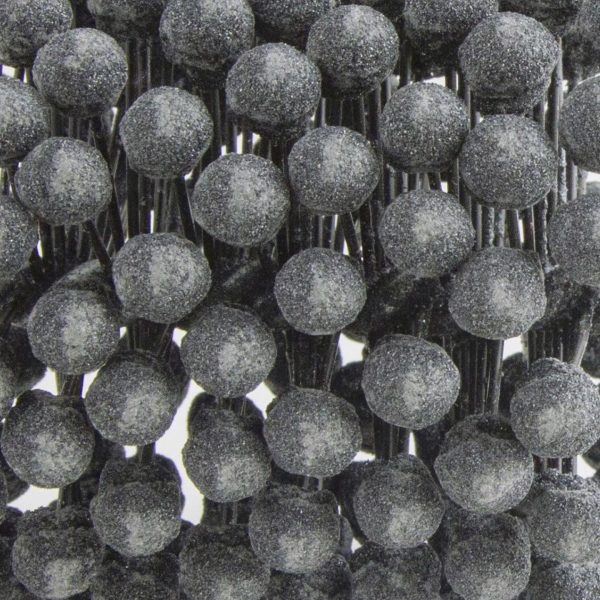 120SC_MACRO